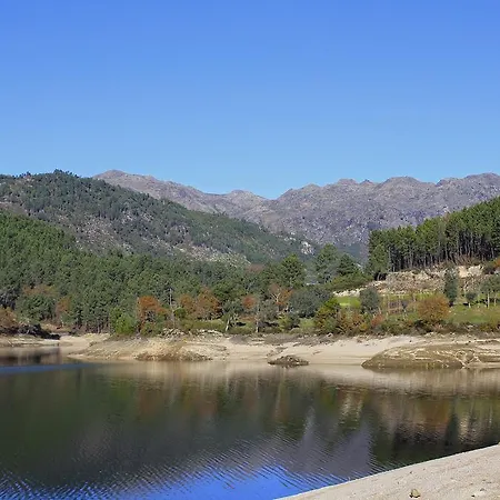 A Cobica Do Mundo * Pincaes