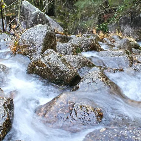 A Cobica Do Mundo Pincaes