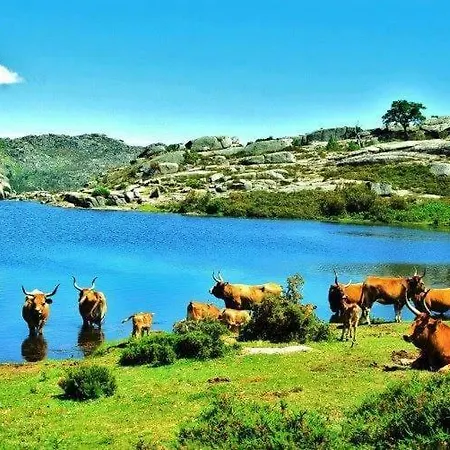 A Cobica Do Mundo Guest house *