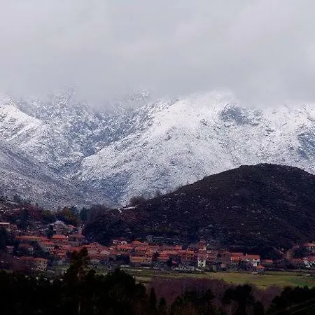 A Cobica Do Mundo * Pincaes