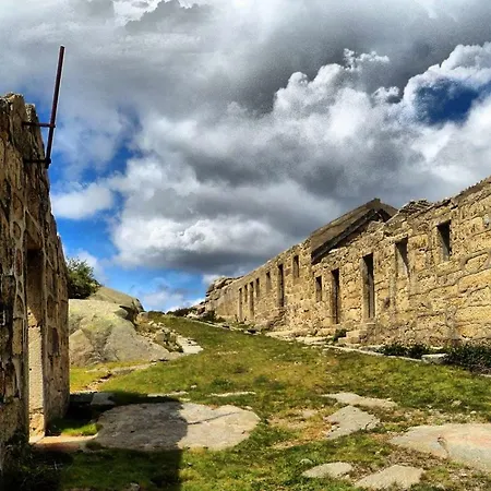 A Cobica Do Mundo Pincaes