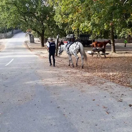 Pensjonat A Cobica Do Mundo Pincaes