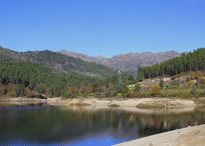 A Cobica Do Mundo * Pincaes