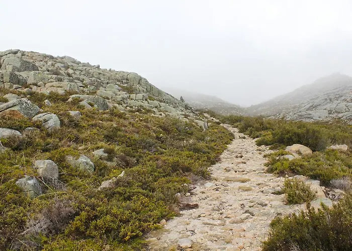 A Cobiça Do Mundo *