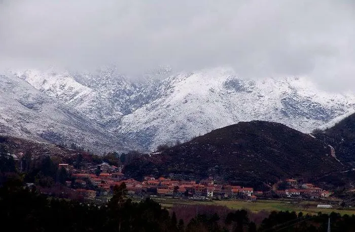 A Cobica Do Mundo * Pincaes