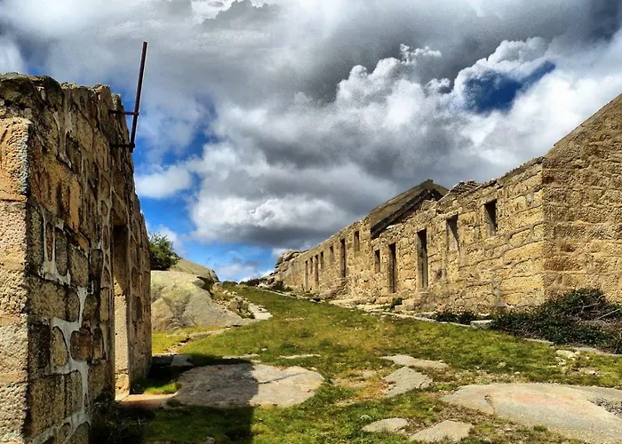 A Cobica Do Mundo Pincaes